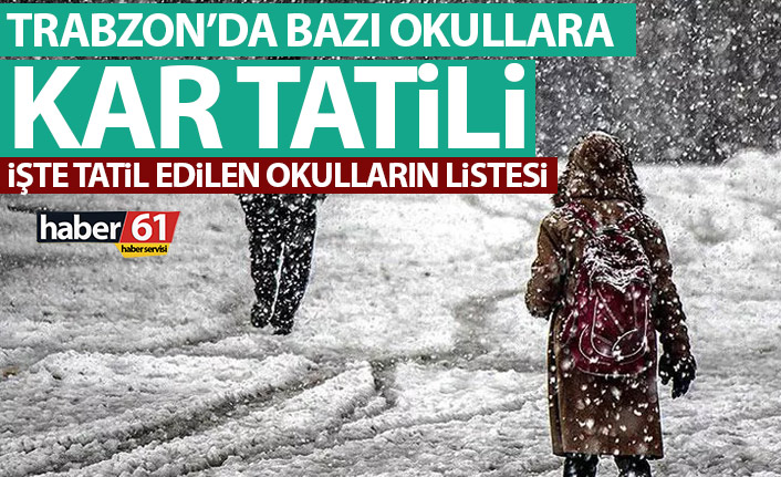 Trabzon'da bazı okullar tatil edildi!