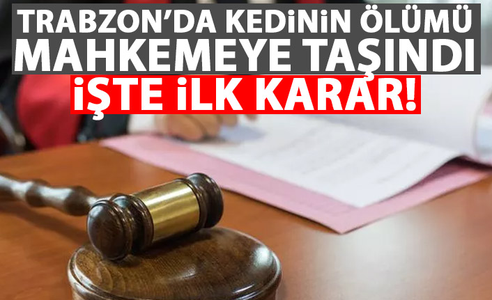 Trabzon'da kediyi öldürdüğü öne sürülen sanığın yargılanmasına başlandı