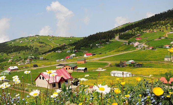Salih Cora'dan yaylalar için TBMM'ye kanun teklifi