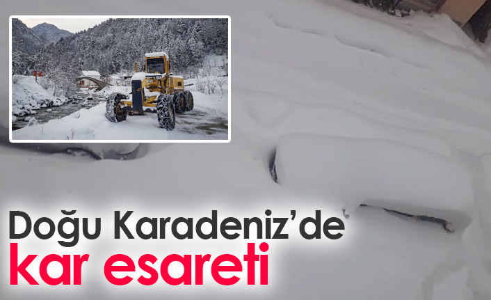 Doğu Karadeniz'de kar esareti