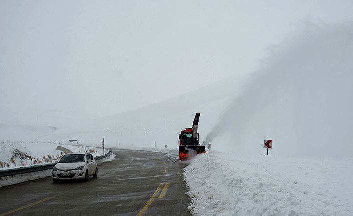 Doğu Karadeniz tehlike altında! Prof. Dr. Bektaş'tan önemli uyarı
