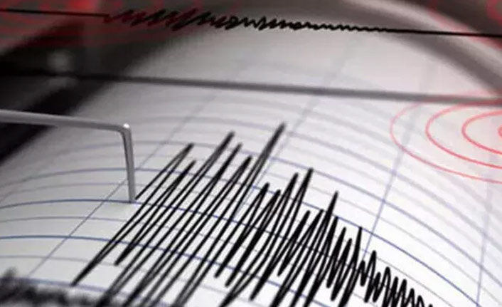 Gürcistan-Türkiye sınırında korkutan deprem