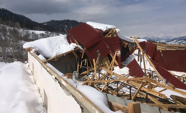 Artvin'de kar besicileri vurdu! Ahırların çatıları çöktü