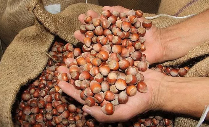 Trabzon'dan 122,6 milyon dolarlık fındık ihracatı