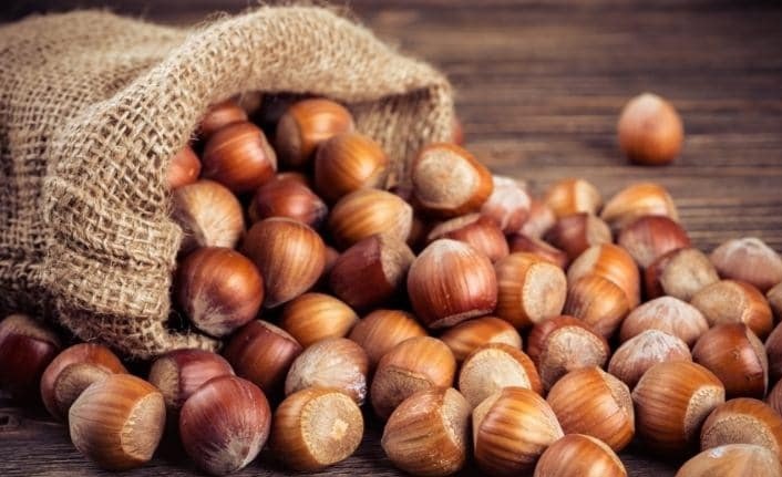 Trabzon'dan 2 ayda 122 Milyon Doları aşan fındık ihracı