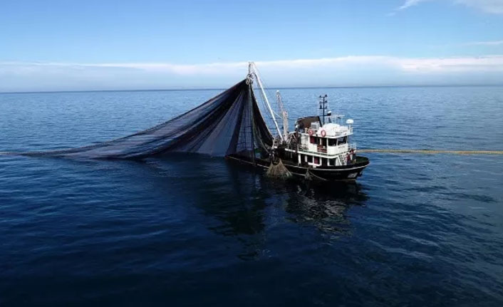 Bakanlık duyurdu! "Karadeniz sularında her türlü balık avcılığı yasaklandı"