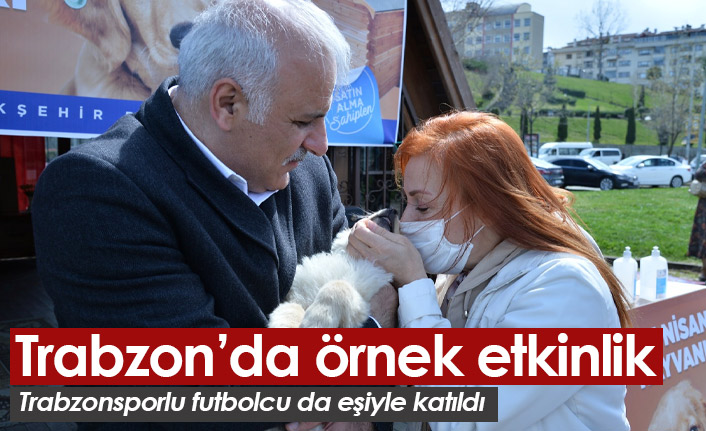 Trabzon'da sokak hayvanları için etkinlik