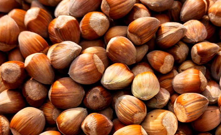 7 ayda 1 milyar 474 milyon dolarlık fındık ihracatı