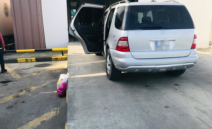 Sarp Sınır Kapısı’nda bin 100 adet su kaplumbağası ele geçirildi