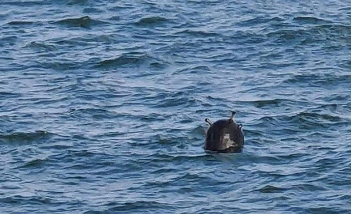 Karadeniz'de üçüncü mayın! Müdahale ediliyor