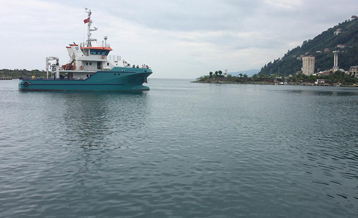 Karadeniz'deki ölçümler endişeye neden oldu! Bir çok şey etkilenecek