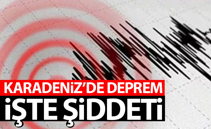 Karadeniz'de deprem! Bakandan açıklama geldi