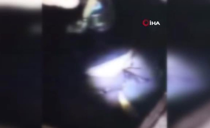 Ukrayna'da bir bodrumda 6 ceset!