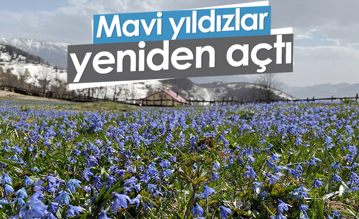 Mavi yıldızlar yeniden açtı