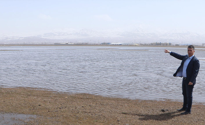 Göl hastalık saçıyor diye kurutulmuş