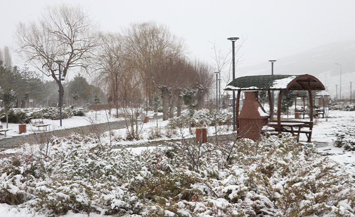 Doğu Karadeniz'in yüksek kesimlerinde kar etkili oldu