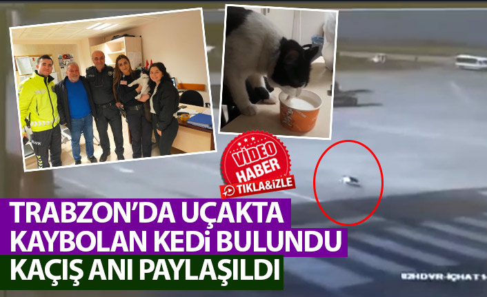 Trabzon Havalimanı’nda kaybolan kedi bulundu! İşte kaçış anı