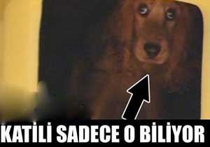 O cinayetin tek görgü tanığı