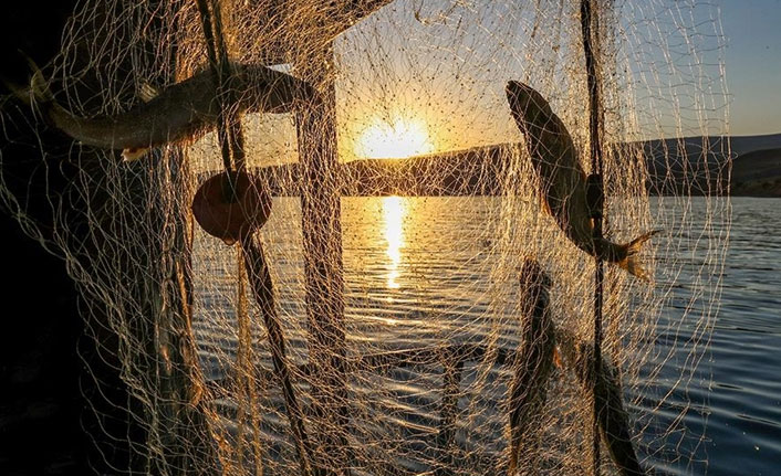 Balıkçılıkta av sezonu yarın kapanıyor