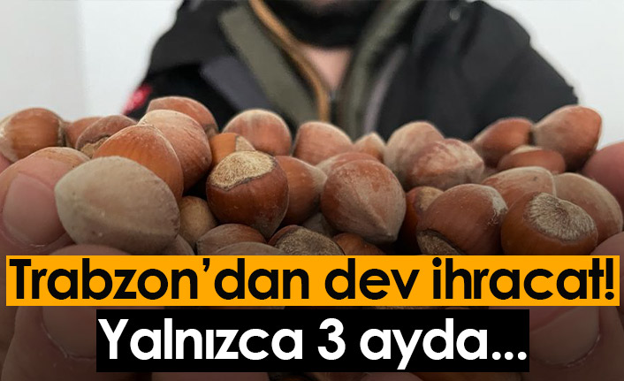 Trabzon'dan üç ayda 169 milyon dolarlık fındık ihracatı