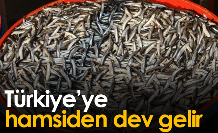 Türkiye'ye hamsiden dev gelir