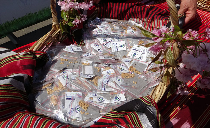 Bir paket tohum için izdiham