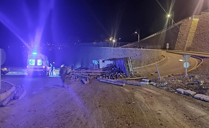 Artvin'de kavşağı dönemeyen tomruk yüklü kamyon devrildi: 1 yaralı