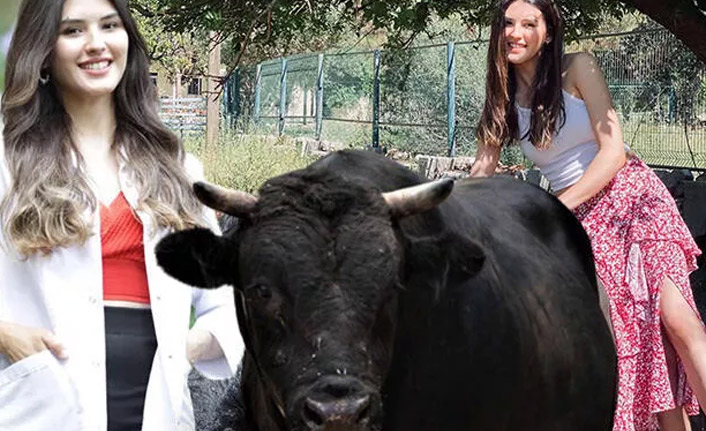 Boğa sevdası, kariyerinin önüne geçti!