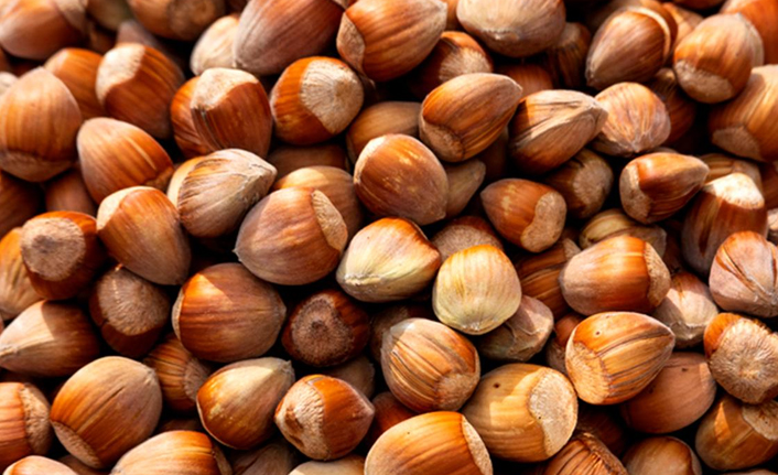 Türkiye son 8 ayda en fazla fındığı Almanya'ya sattı