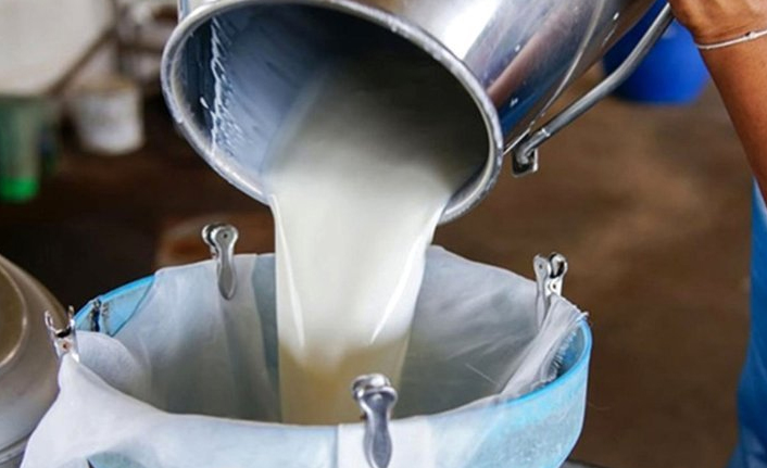 Süt ve peynir üretimi azaldı!