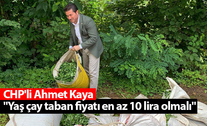 CHP'li Ahmet Kaya "Yaş çay taban fiyatı en az 10 lira olmalı"