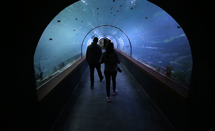 "Tünel Akvaryum" misafirlerini ağırlayacak! İşte detaylar fotoğraflar