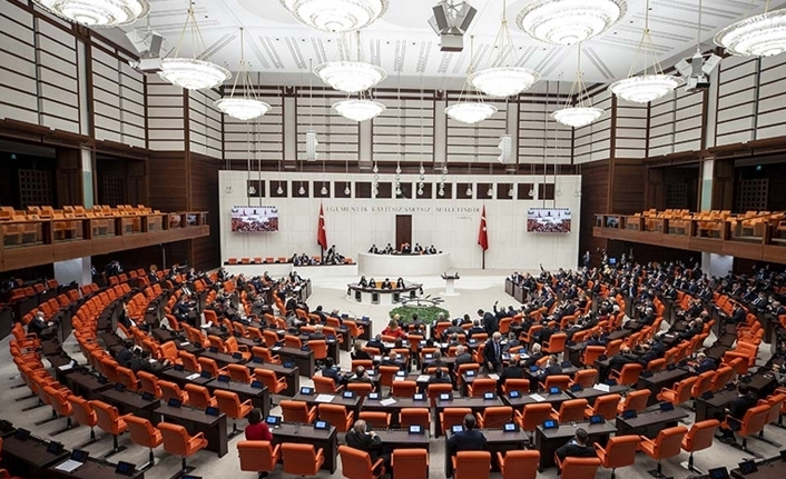 Kadına ve sağlık çalışanlarına şiddetle ilgili kanun teklifi, TBMM'de kabul edildi