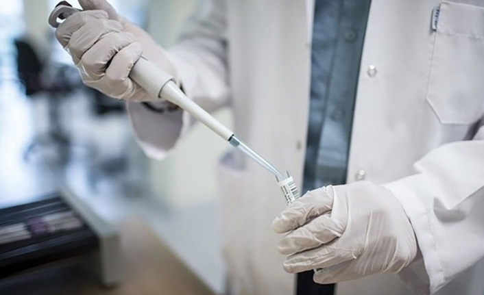 Maymun çiçeği virüsü bir ülkeye daha sıçradı! İlk vaka görüldü