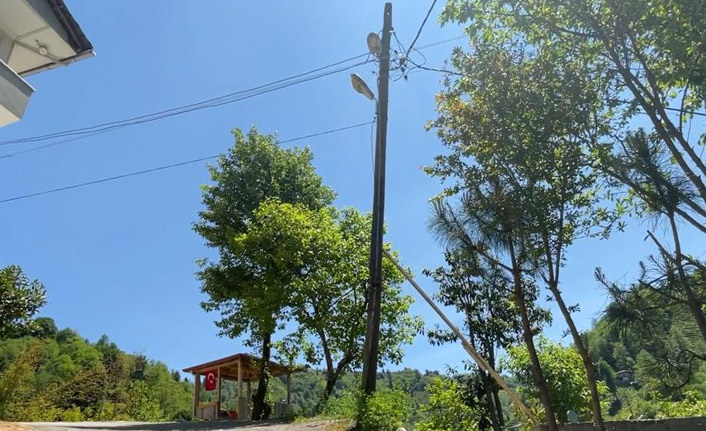 Elektrik direğini yıkılmasın diye evine bağladı
