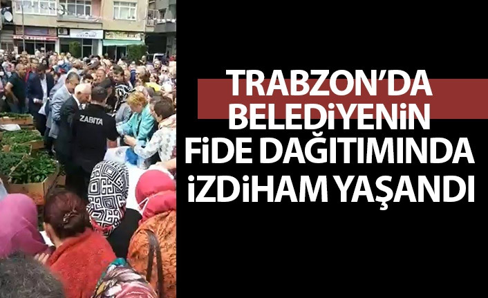 Trabzon'da Belediyenin fide dağıtımında izdiham