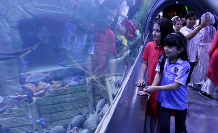 Dev akvaryumda 'hamsi özgürlüğüne düşkündür' tabelası