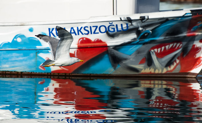 Trabzon'da güneşli hava