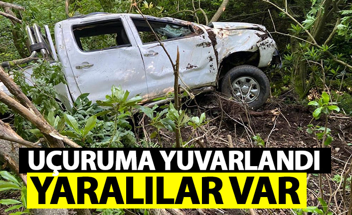 Artvin'de kamyonet uçuruma yuvarlandı