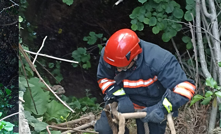 Trabzon'da dereye düşen vatandaşın imdadına itfaiye yetişti
