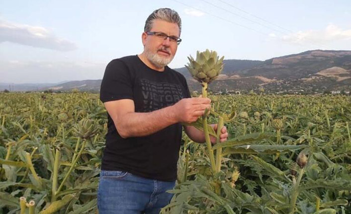 Faydaları saymakla bitmiyor, karaciğerin dostu kanserin düşmanı!