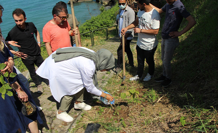 Avrasya Üniversitesi'nde fidan dikimi