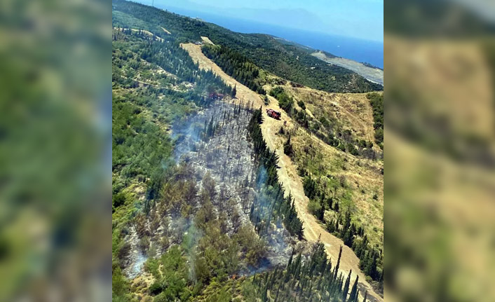 İzmir'in Seferihisar ilçesinde orman yangını! 1 Haziran 2022
