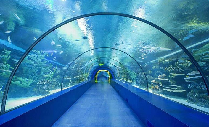 Tünel akvaryum ne kadara mal oldu, kaç kişi ziyaret etti?