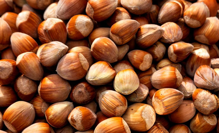 Türkiye'nin fındık ihracat rakamları açıklandı! İşte detaylar