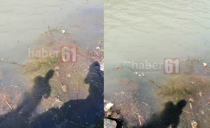 Uzungöl’de istenmeyen görüntüler! “Acilen ciddi bir çözüm bulunmalı”