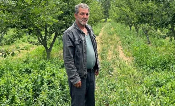 Bursa'lı çiftçiden hırsıza çağrı: "Kaliteli bir hırsız, çay içmek isterim"