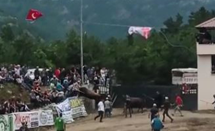 Rakibinden kaçan boğa seyircilerin arasına daldı