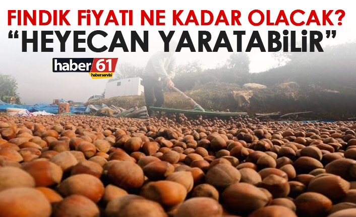 Fındık fiyatları ne kadar olacak? "Heyecan yaratabilir" açıklaması