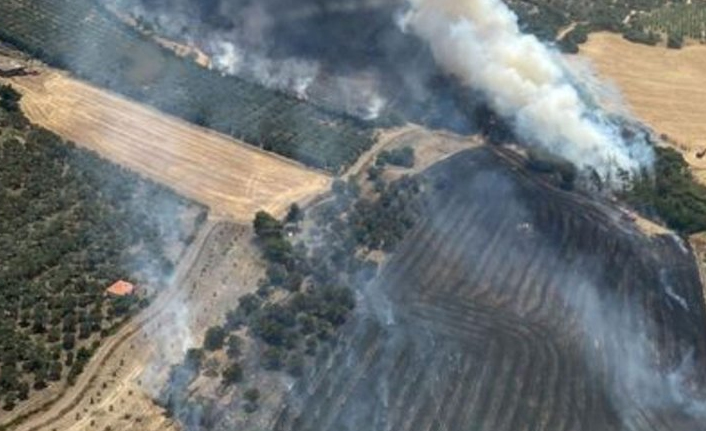 Foça’da orman yangını başladı